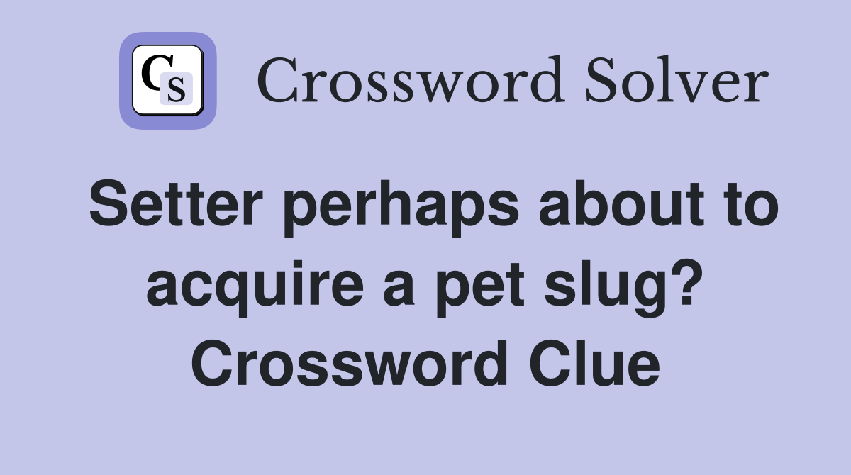 Setter perhaps about to acquire a pet slug? Crossword Clue