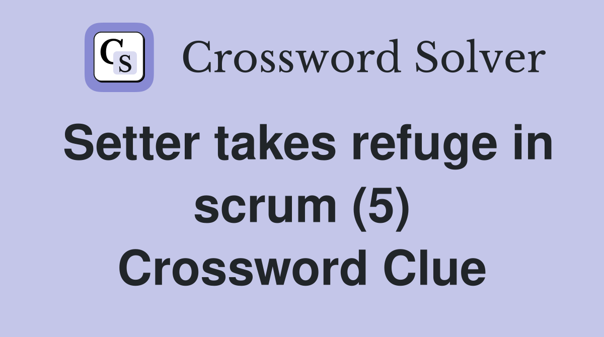 Setter takes refuge in scrum (5) Crossword Clue