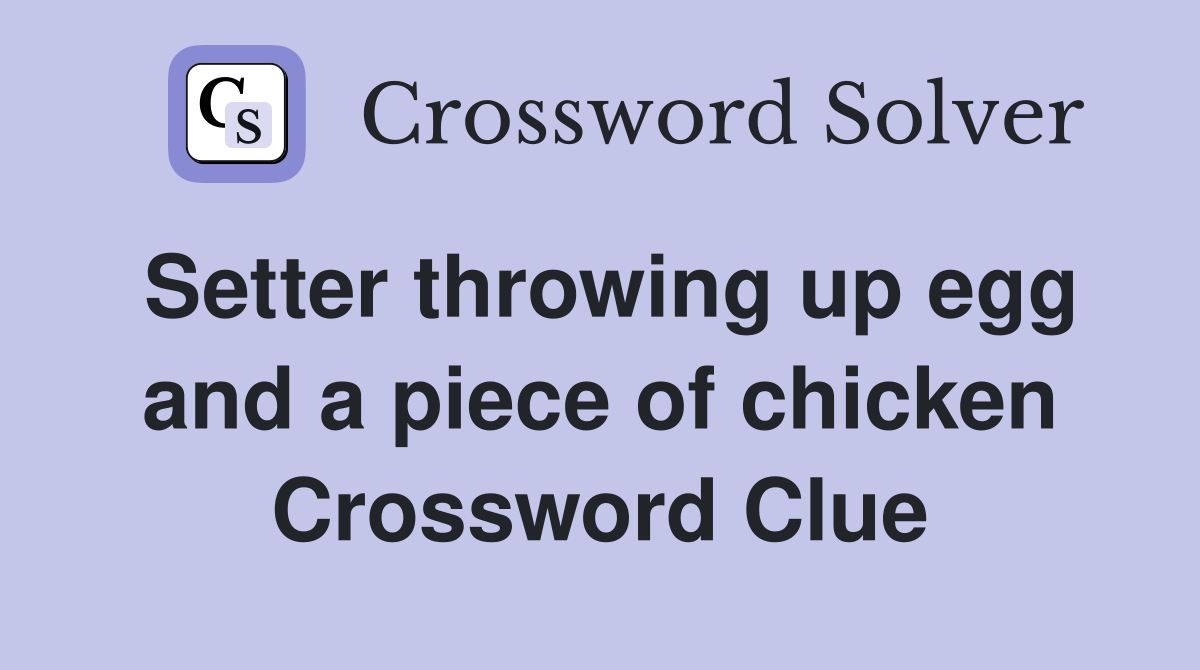 Setter throwing up egg and a piece of chicken Crossword Clue