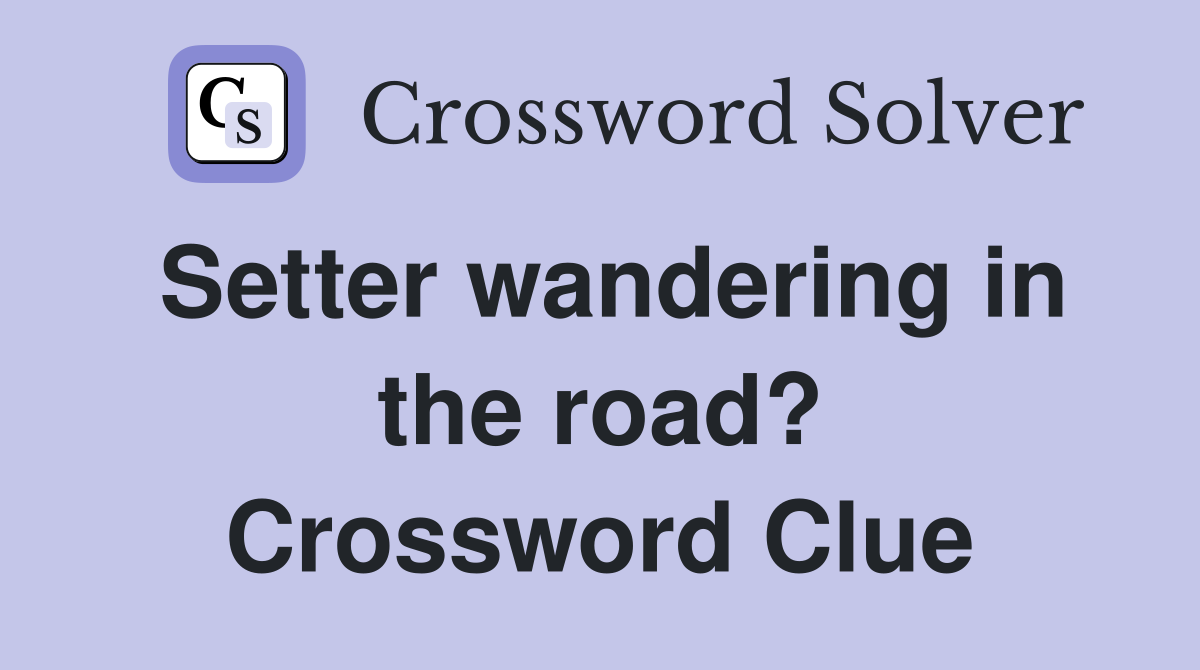 Setter wandering in the road? Crossword Clue