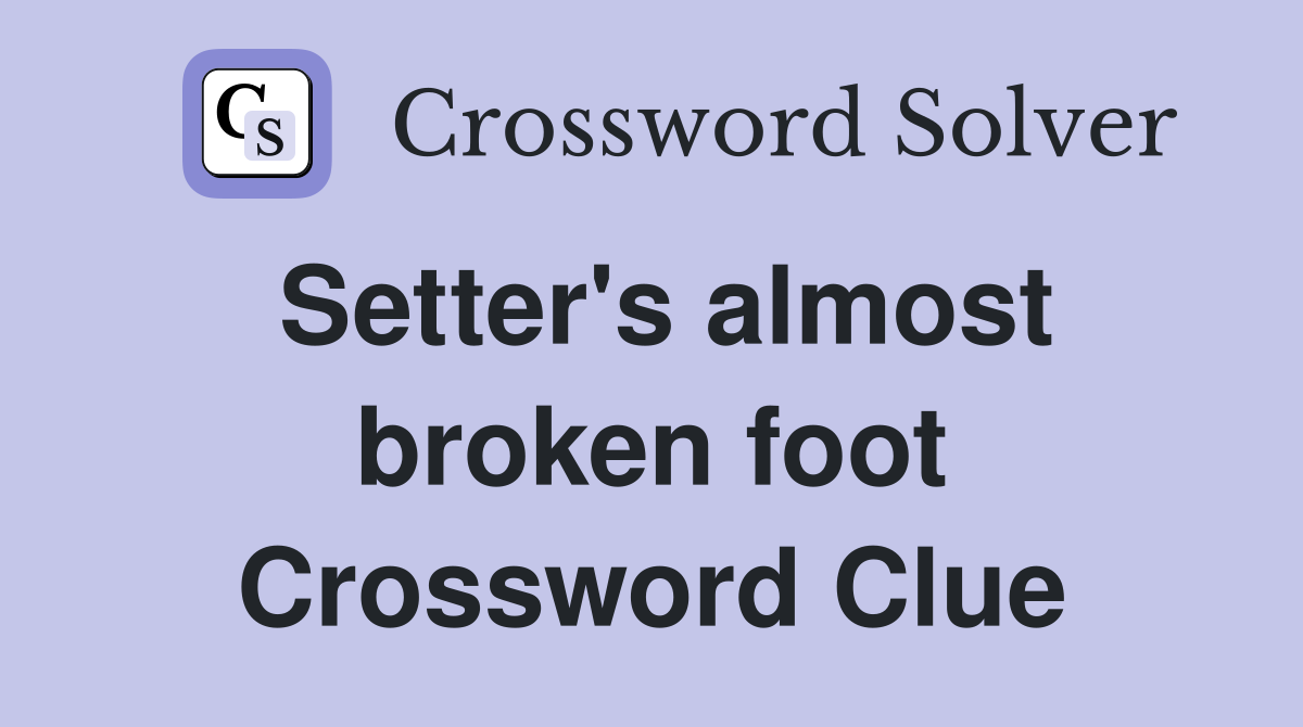 Setter's almost broken foot Crossword Clue