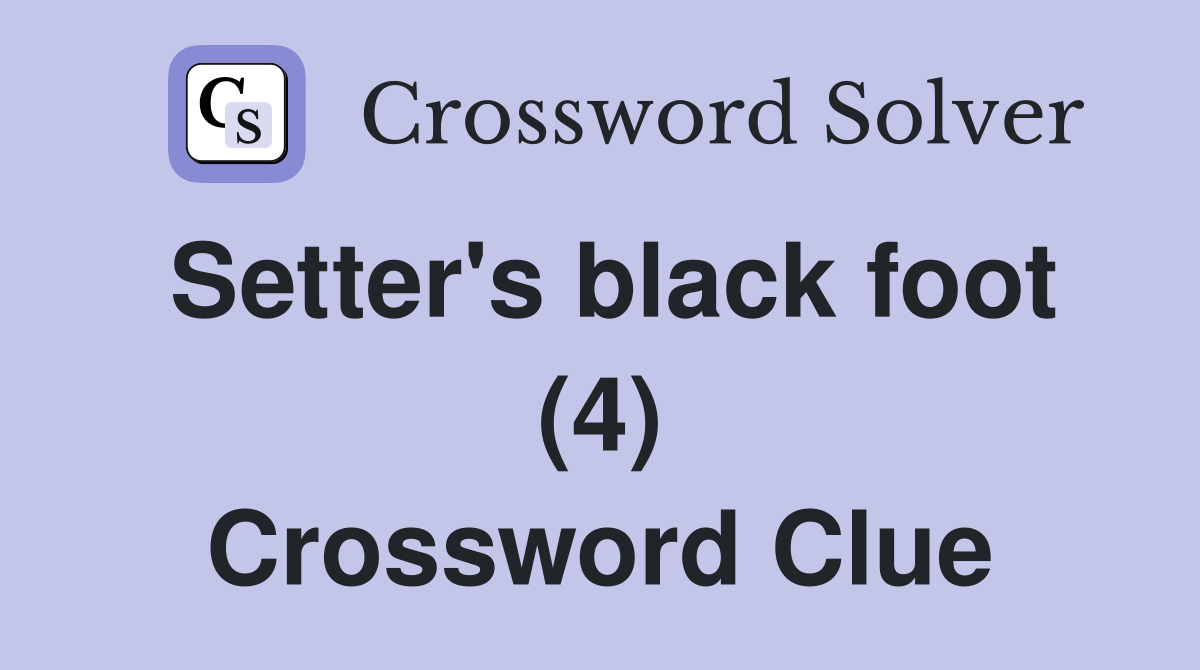 Setter's black foot (4) Crossword Clue