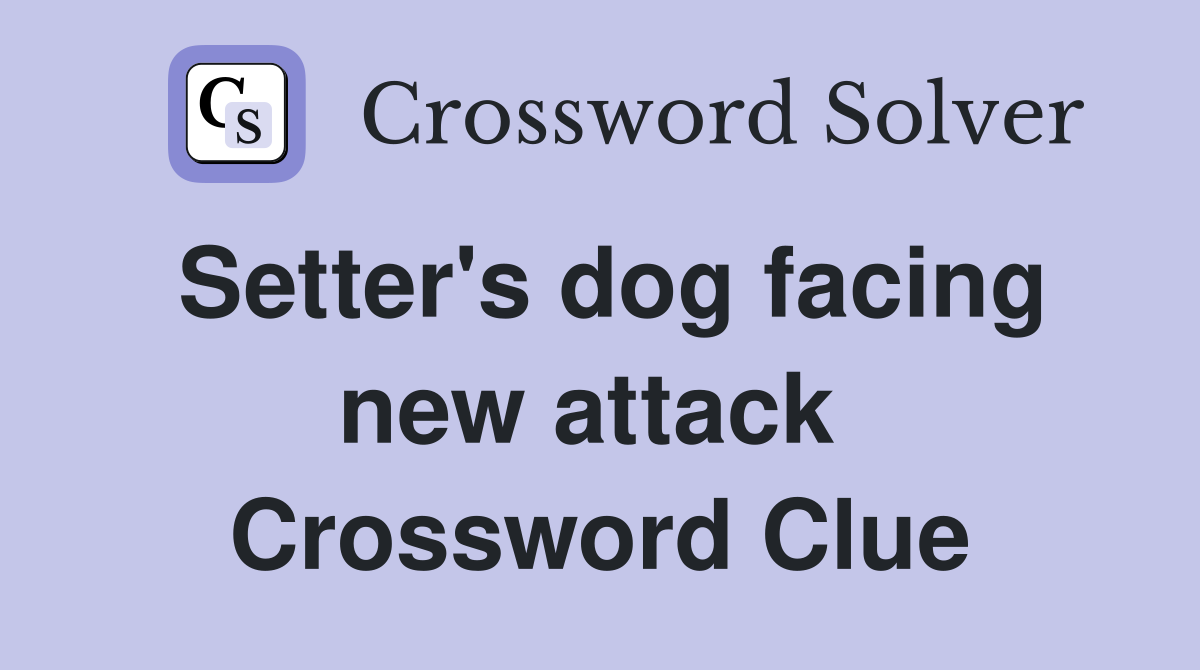 Setter's dog facing new attack  Crossword Clue