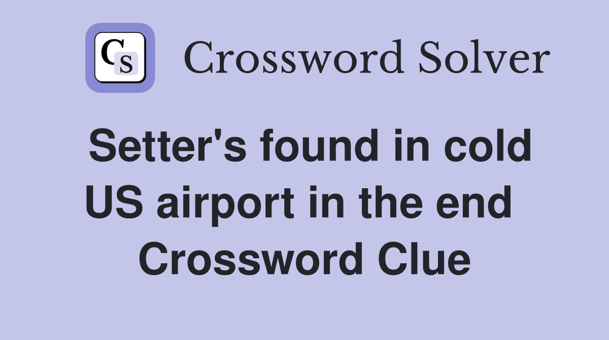 Setter's found in cold US airport in the end  Crossword Clue