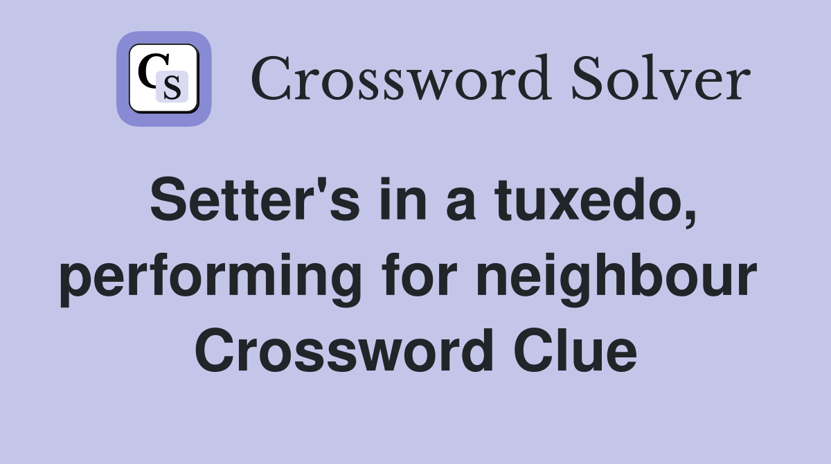 Setter's in a tuxedo, performing for neighbour  Crossword Clue