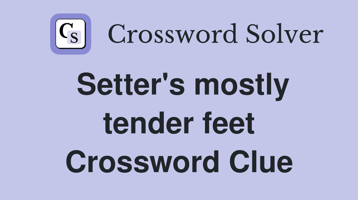 Setter's mostly tender feet Crossword Clue