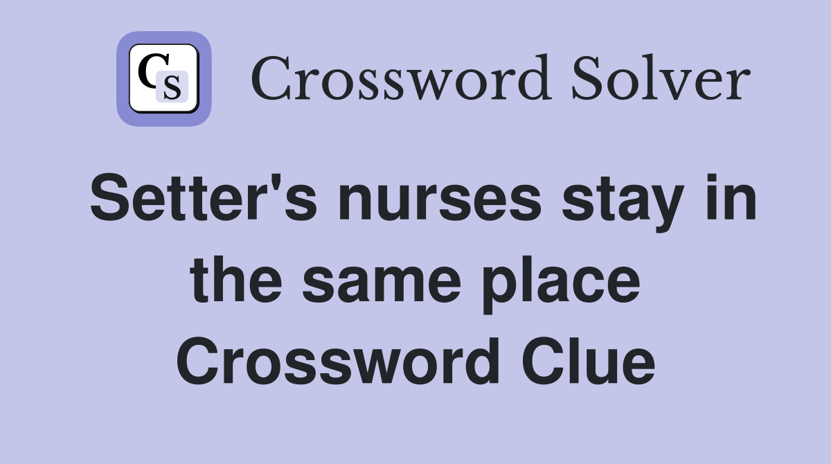 Setter's nurses stay in the same place Crossword Clue