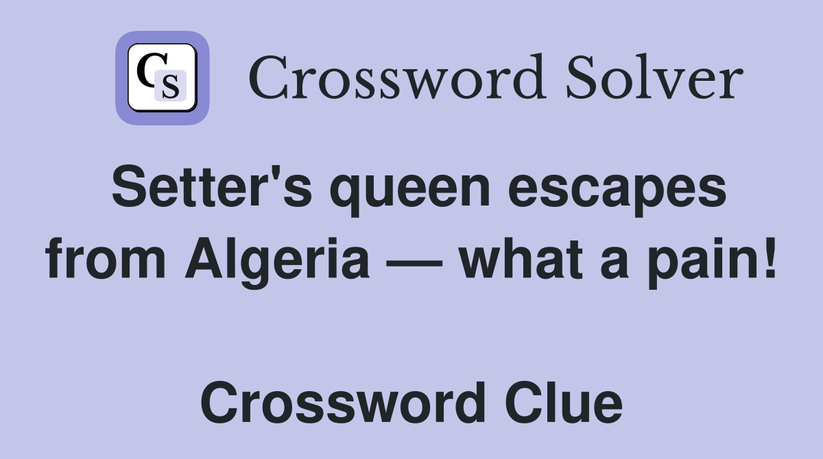 Setter's queen escapes from Algeria — what a pain!  Crossword Clue
