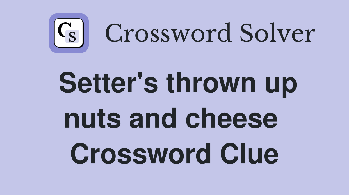 Setter's thrown up nuts and cheese  Crossword Clue