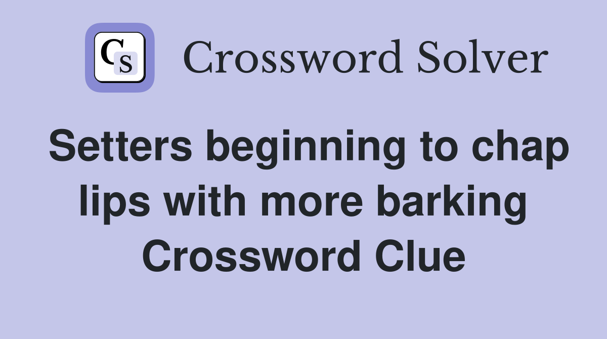 Setters beginning to chap lips with more barking Crossword Clue