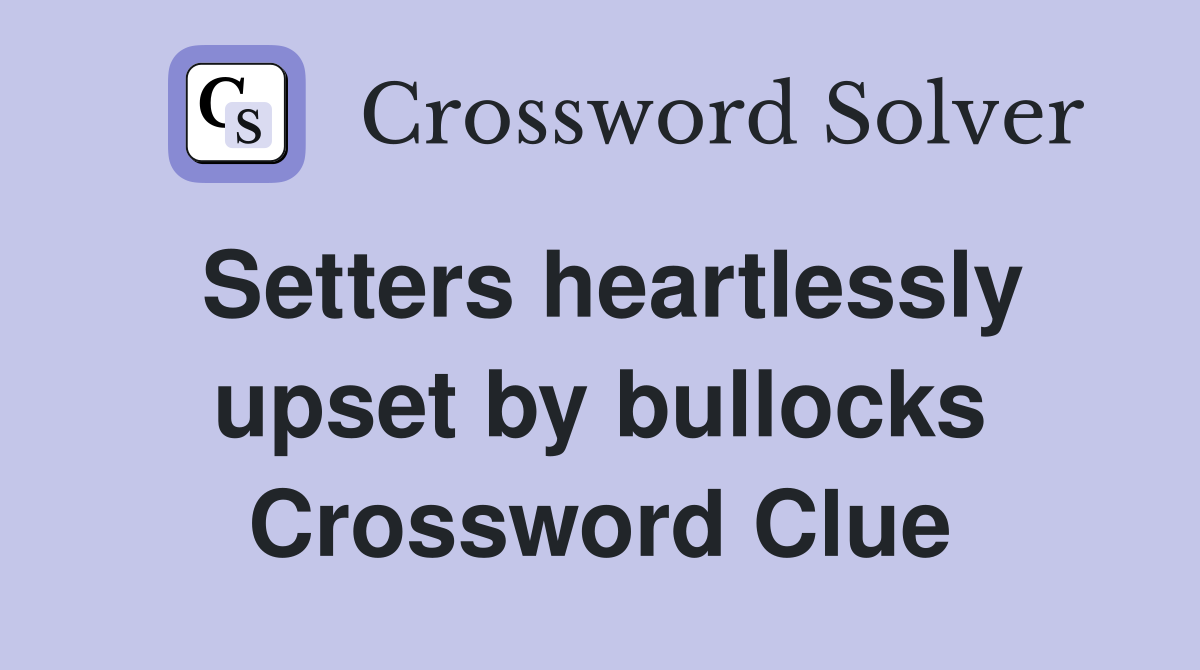 Setters heartlessly upset by bullocks Crossword Clue