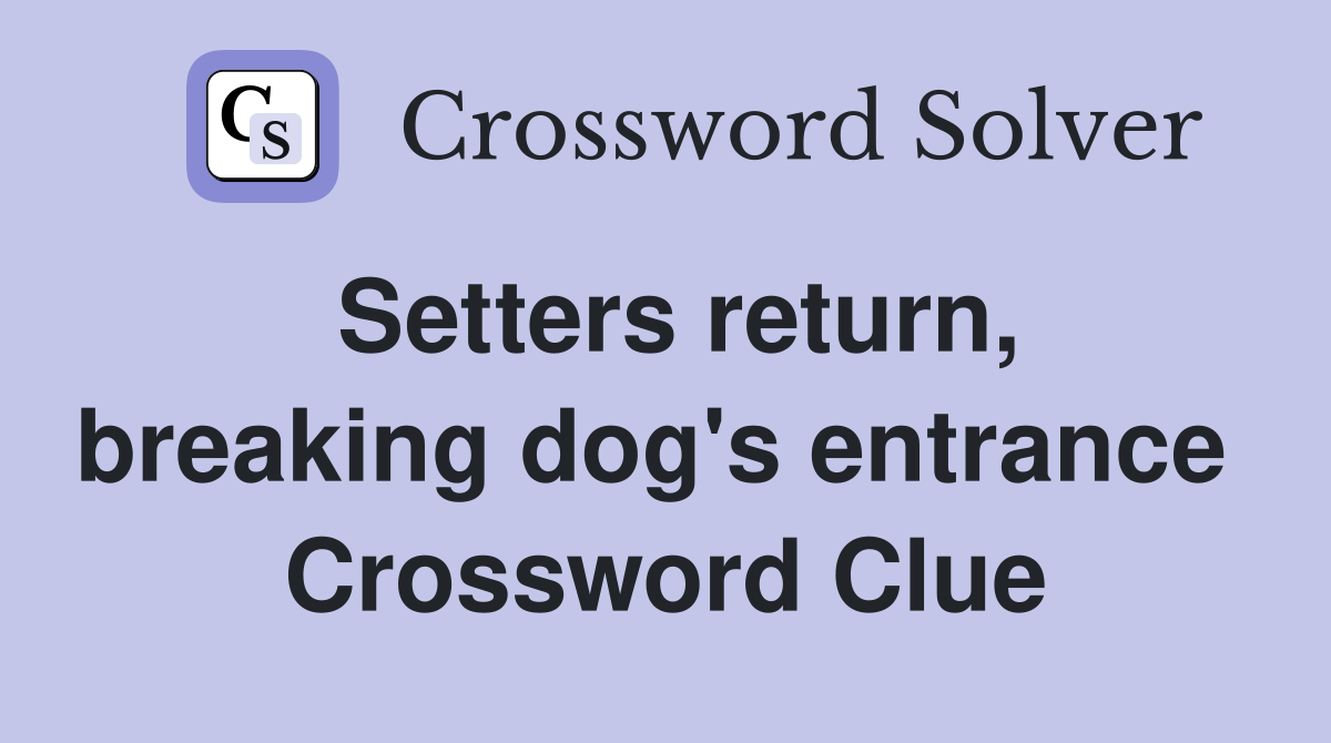 Setters return, breaking dog's entrance  Crossword Clue