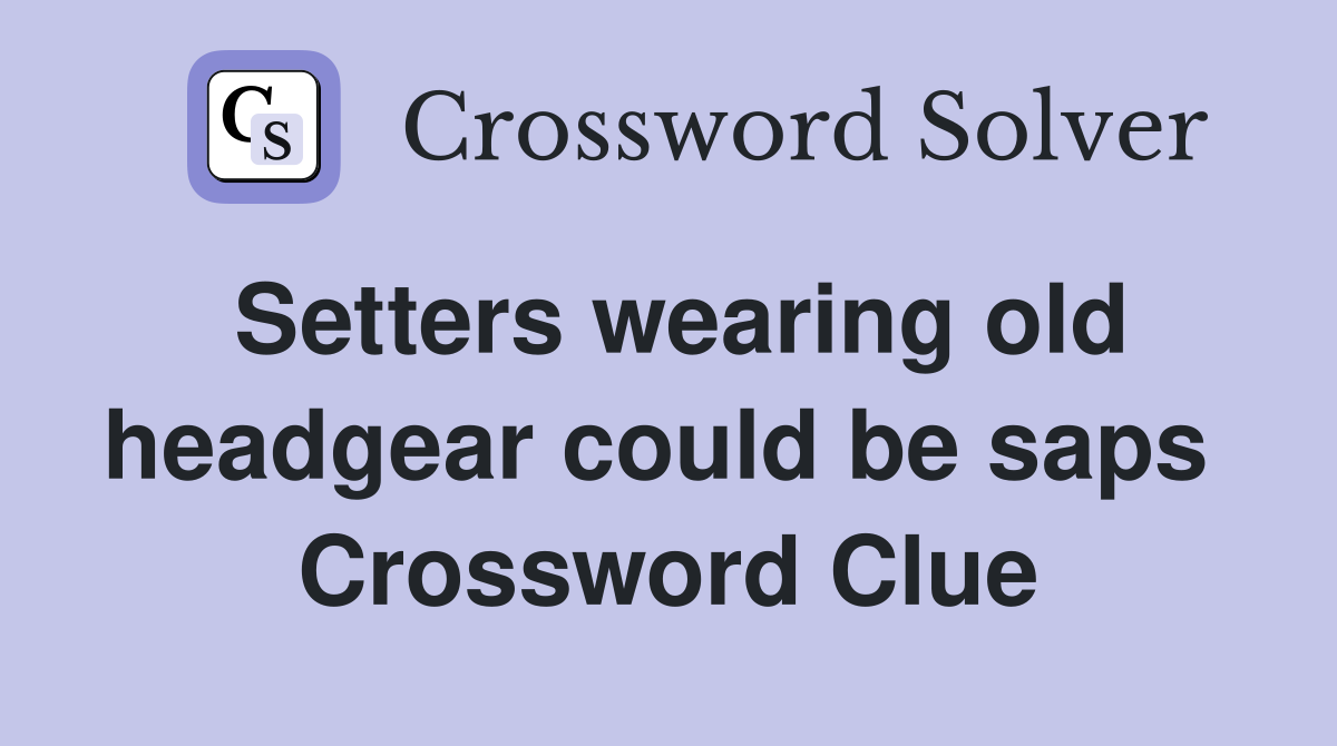 Setters wearing old headgear could be saps  Crossword Clue