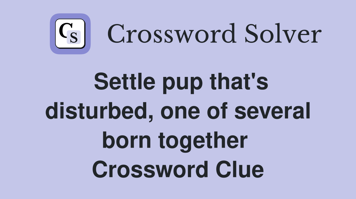 Settle pup that's disturbed, one of several born together  Crossword Clue