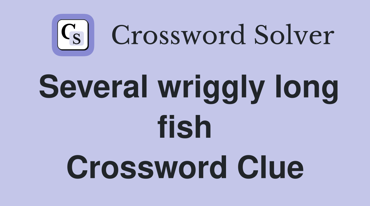 Several wriggly long fish Crossword Clue