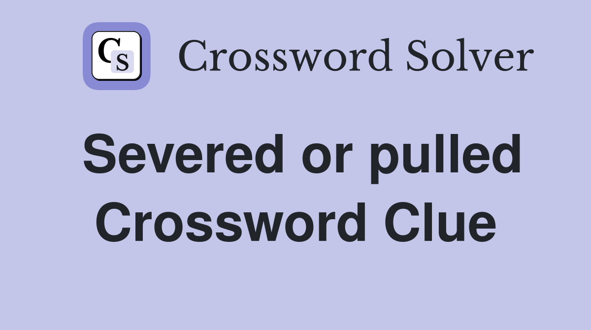 Severed or pulled Crossword Clue