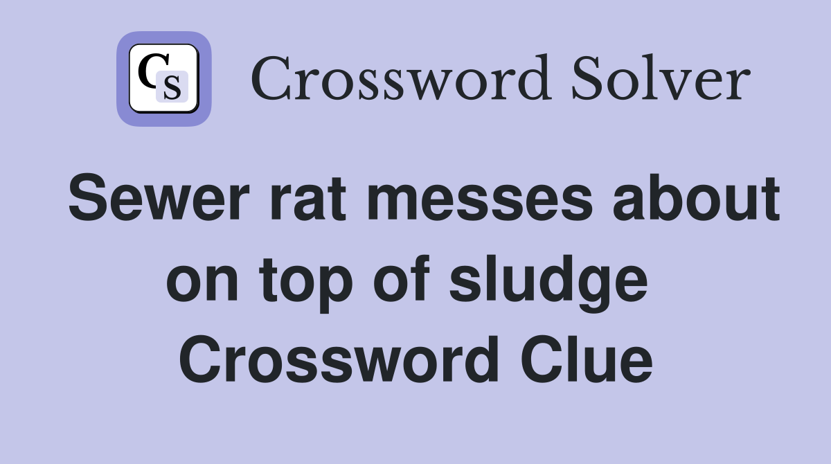 Sewer rat messes about on top of sludge  Crossword Clue