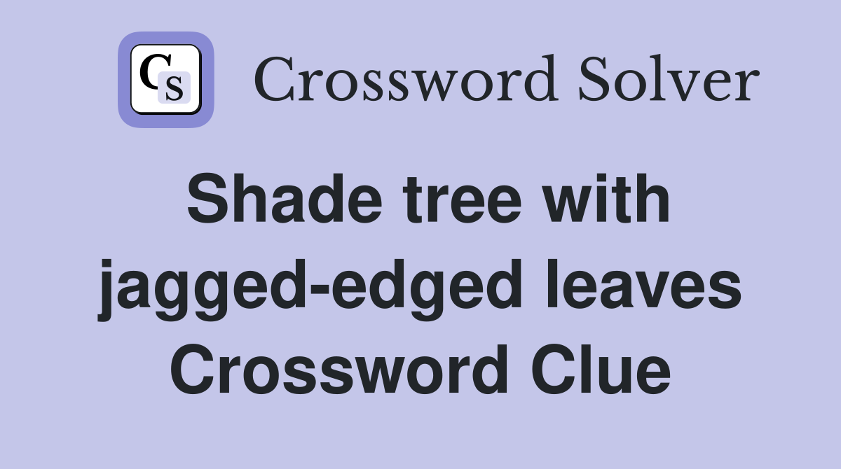 Shade tree with jagged-edged leaves Crossword Clue