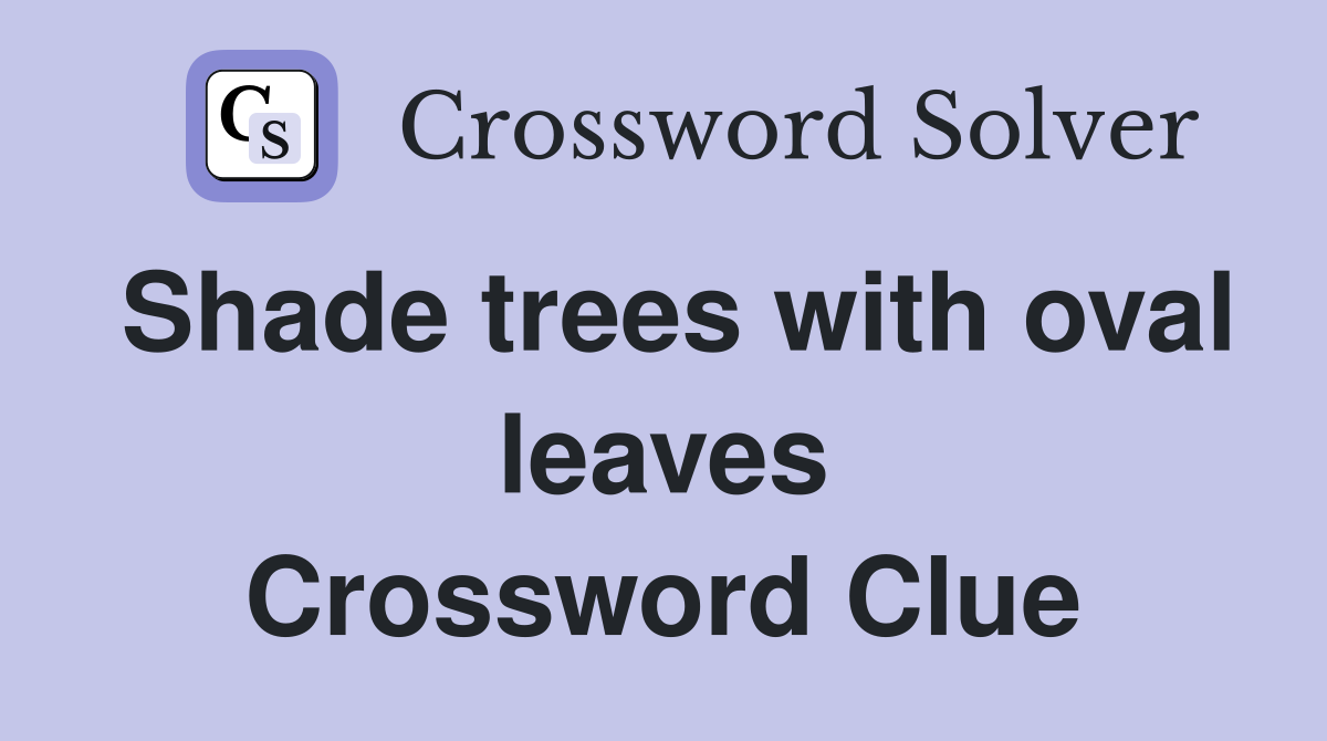 Shade trees with oval leaves Crossword Clue