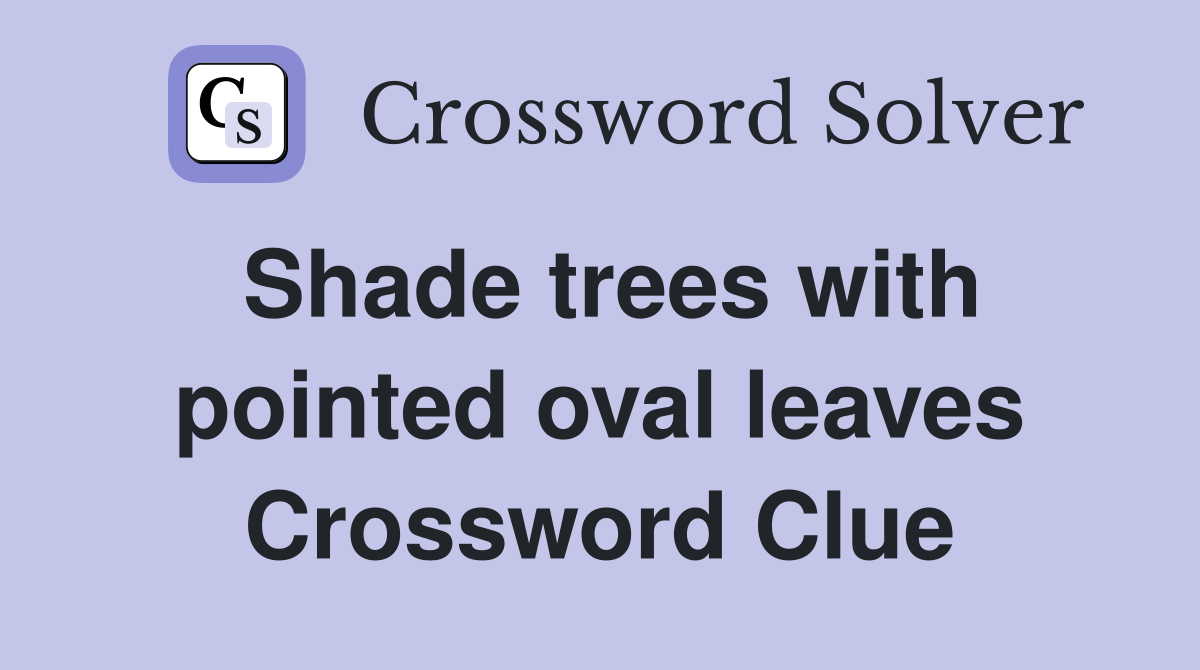 Shade trees with pointed oval leaves Crossword Clue