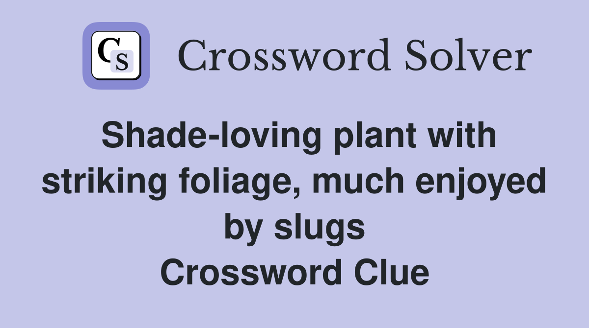 Shade-loving plant with striking foliage, much enjoyed by slugs Crossword Clue