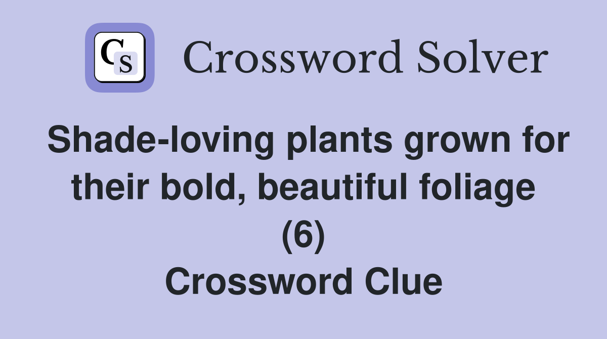 Shade-loving plants grown for their bold, beautiful foliage (6) Crossword Clue