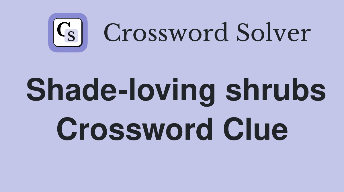 Shade-loving shrubs Crossword Clue