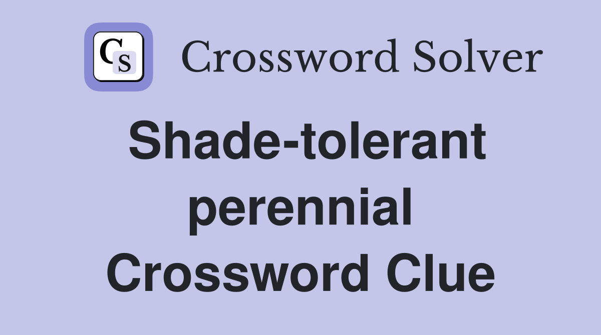 Shade-tolerant perennial Crossword Clue