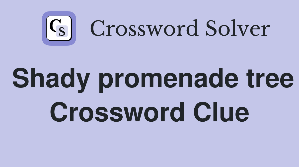 Shady promenade tree Crossword Clue