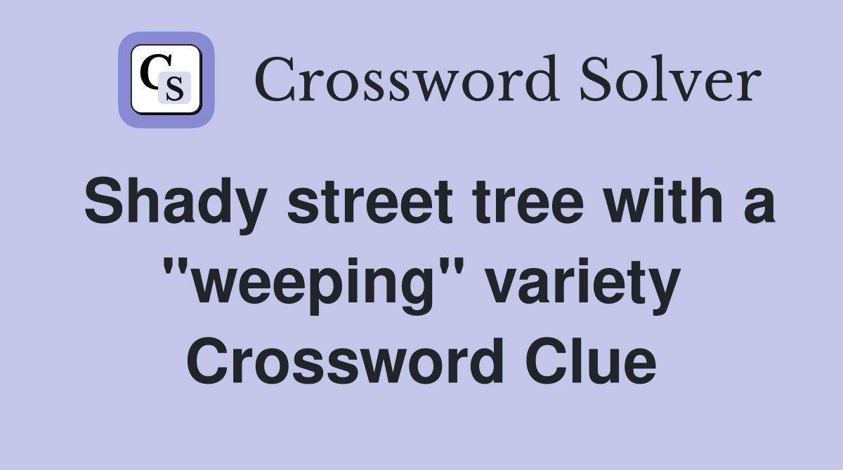 Shady street tree with a "weeping" variety Crossword Clue