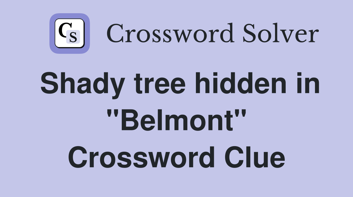 Shady tree hidden in "Belmont" Crossword Clue
