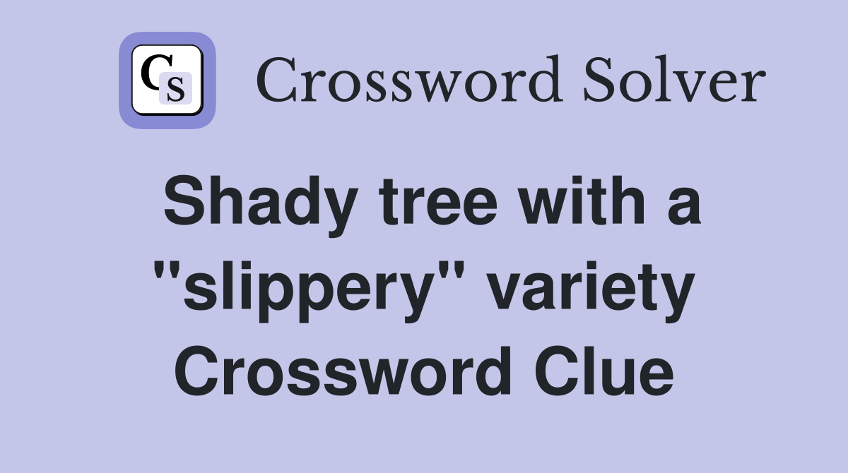 Shady tree with a "slippery" variety Crossword Clue