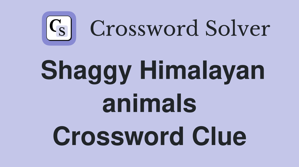 Shaggy Himalayan animals Crossword Clue