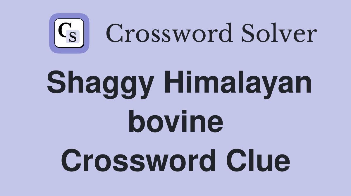 Shaggy Himalayan bovine Crossword Clue