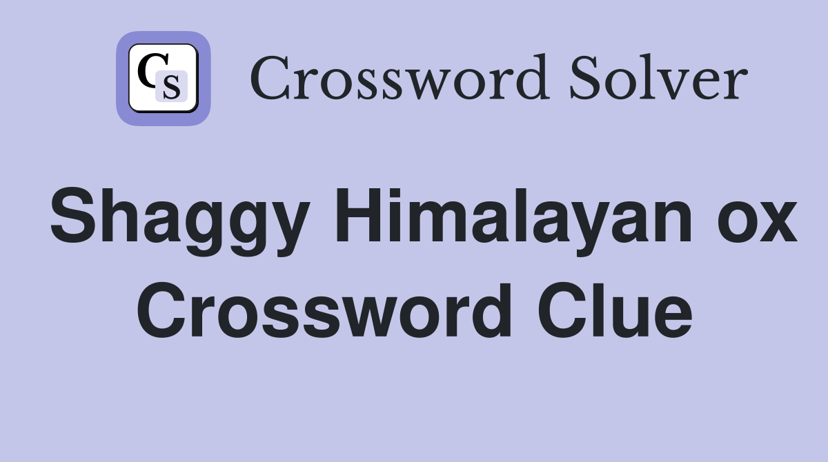 Shaggy Himalayan ox Crossword Clue