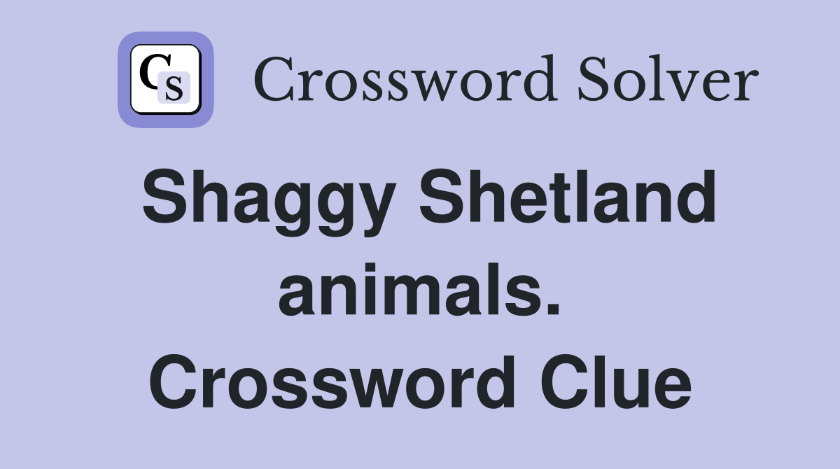 Shaggy Shetland animals. Crossword Clue