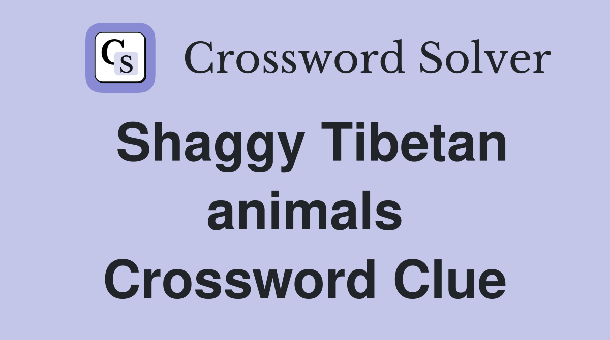 Shaggy Tibetan animals Crossword Clue