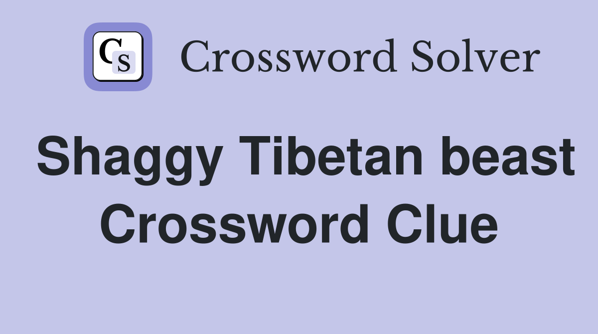 Shaggy Tibetan beast Crossword Clue