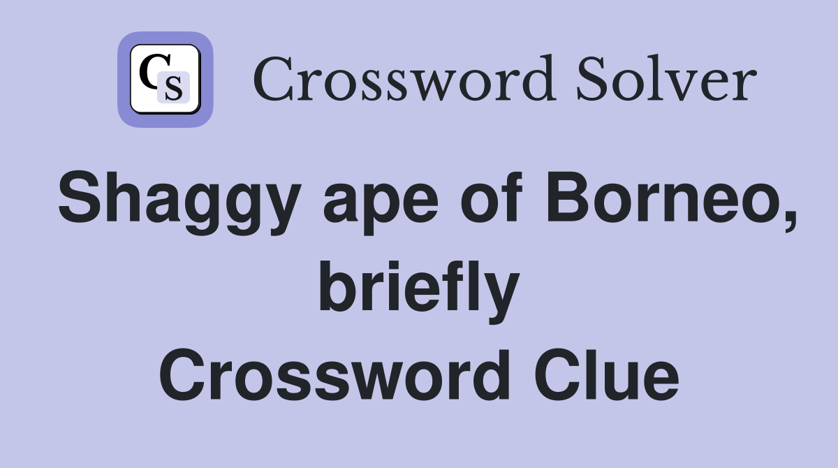 Shaggy ape of Borneo, briefly Crossword Clue