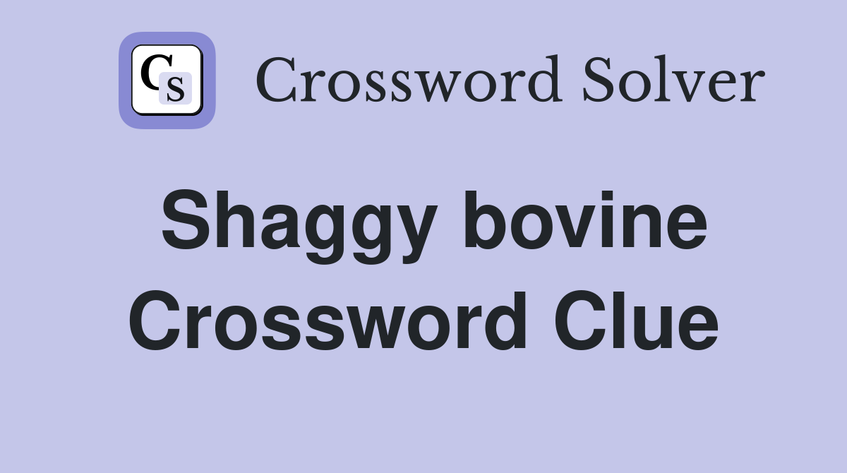 Shaggy bovine Crossword Clue