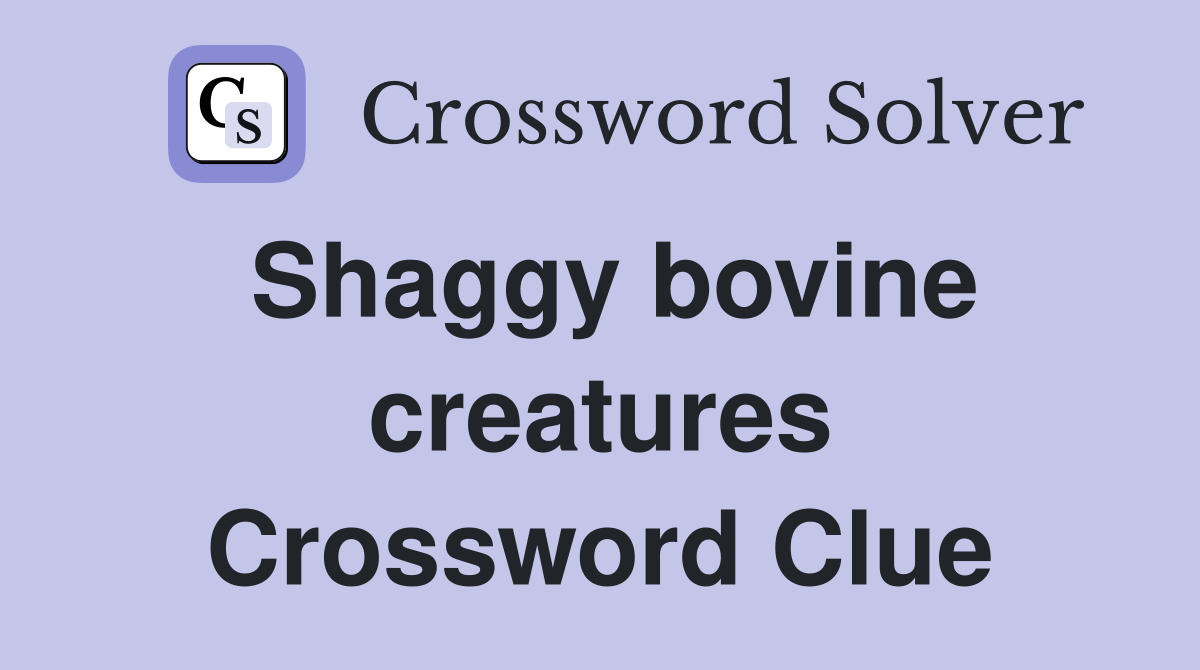 Shaggy bovine creatures Crossword Clue