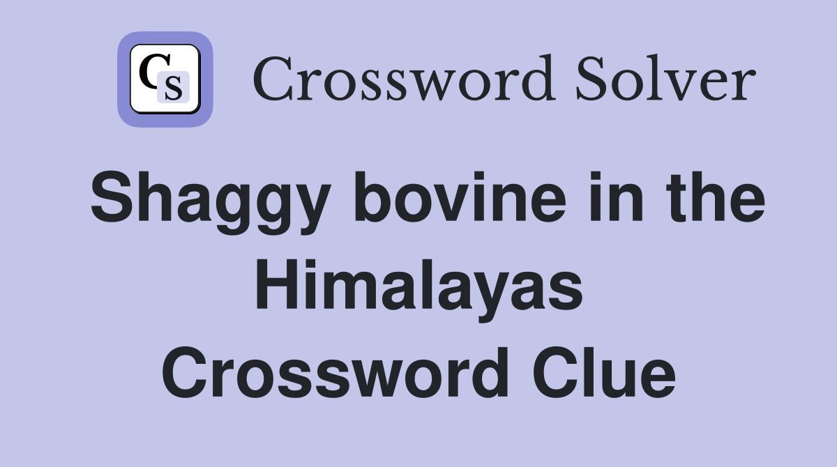 Shaggy bovine in the Himalayas Crossword Clue
