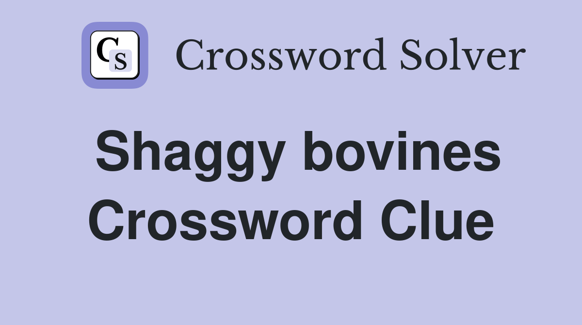 Shaggy bovines Crossword Clue