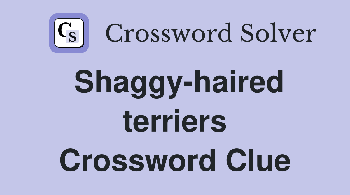 Shaggy-haired terriers Crossword Clue