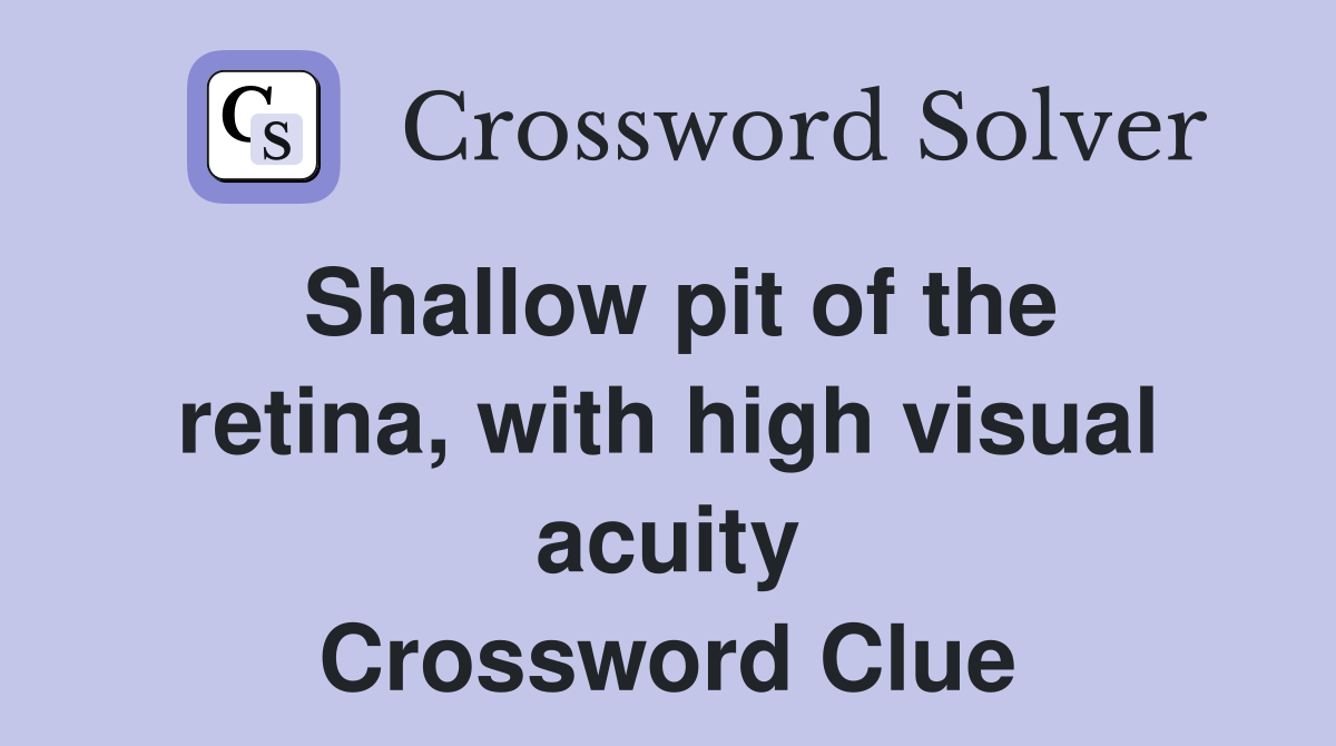 Shallow pit of the retina, with high visual acuity Crossword Clue