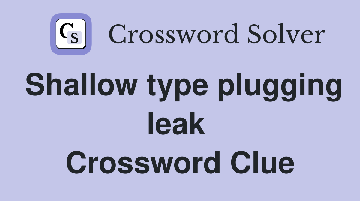 Shallow type plugging leak  Crossword Clue
