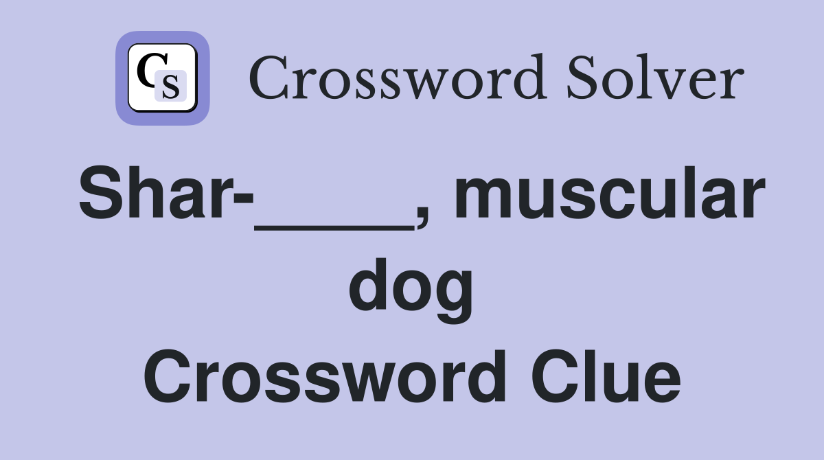 Shar-____, muscular dog Crossword Clue