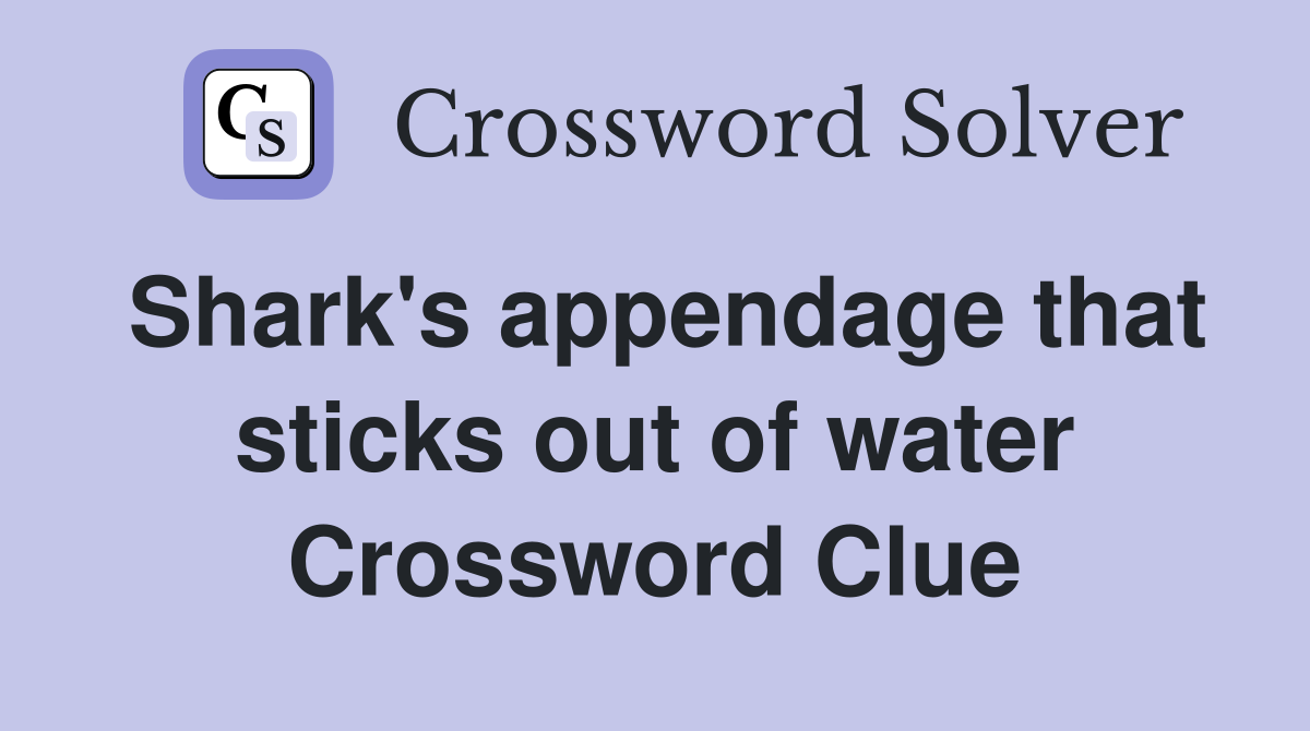 Shark's appendage that sticks out of water Crossword Clue