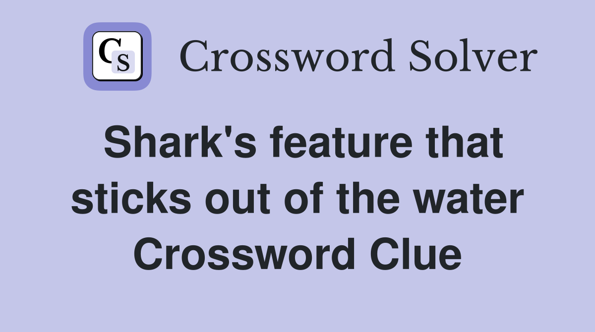 Shark's feature that sticks out of the water Crossword Clue
