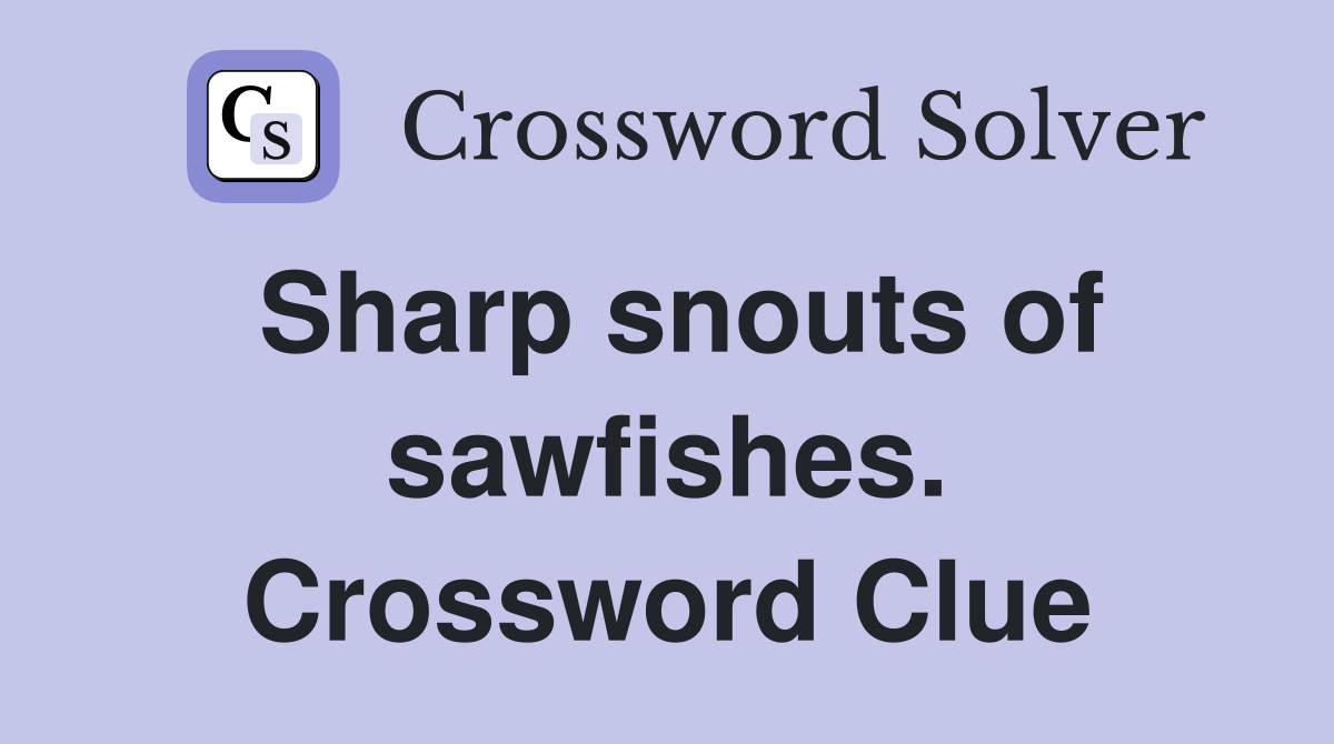 Sharp snouts of sawfishes. Crossword Clue